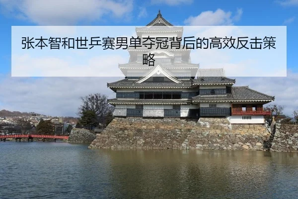 张本智和世乒赛男单夺冠背后的高效反击策略